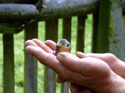 Bild 14 aus  Ferienhof Wilfert