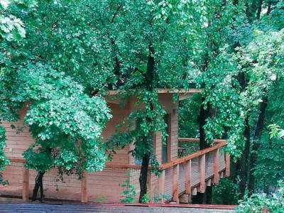 Bild 7 aus  Mainbaumhaus