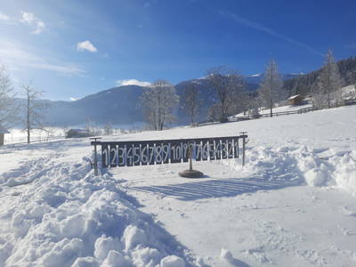 Bild 103 aus  Staudingerhof