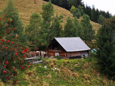 Bild 48 aus  Größingalm