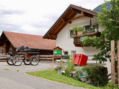 Bild 87 aus  Schalkler