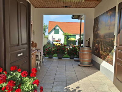 Bild 15 aus  Ferienhaus Weinviertel