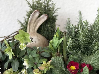 Bild 55 aus  Margreitterhof