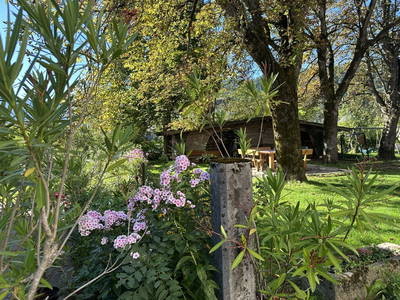 Bild 175 aus  Ferienhof Kirchbichl