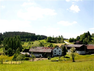 Bild 2 aus Biohof Besenbäck