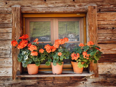 Bild 16 aus  Martenhof