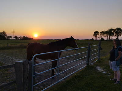 Bild 27 aus  Ferienhof Nordorfer Grashaus