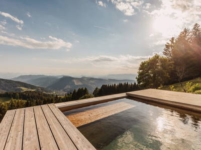 Bild 14 aus  Die Saualmleitn