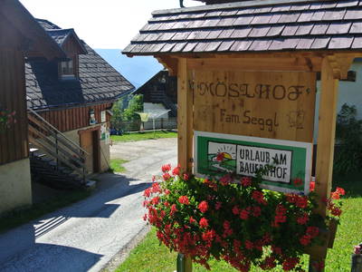 Bild 2 aus  Bio-Bergbauernhof Möslhof