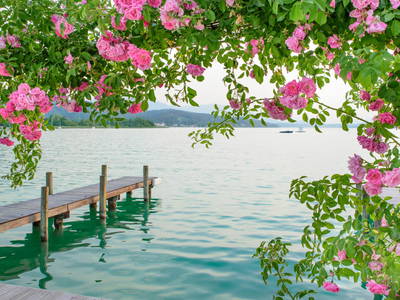 Bild 155 aus  Landhaus Sofie