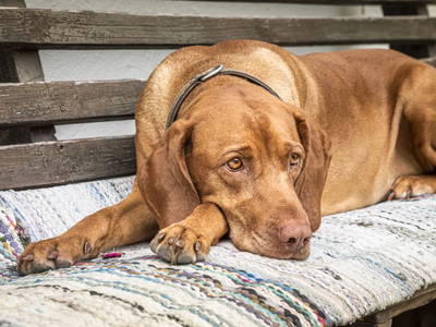 Bild 118 aus  Kesslerhof