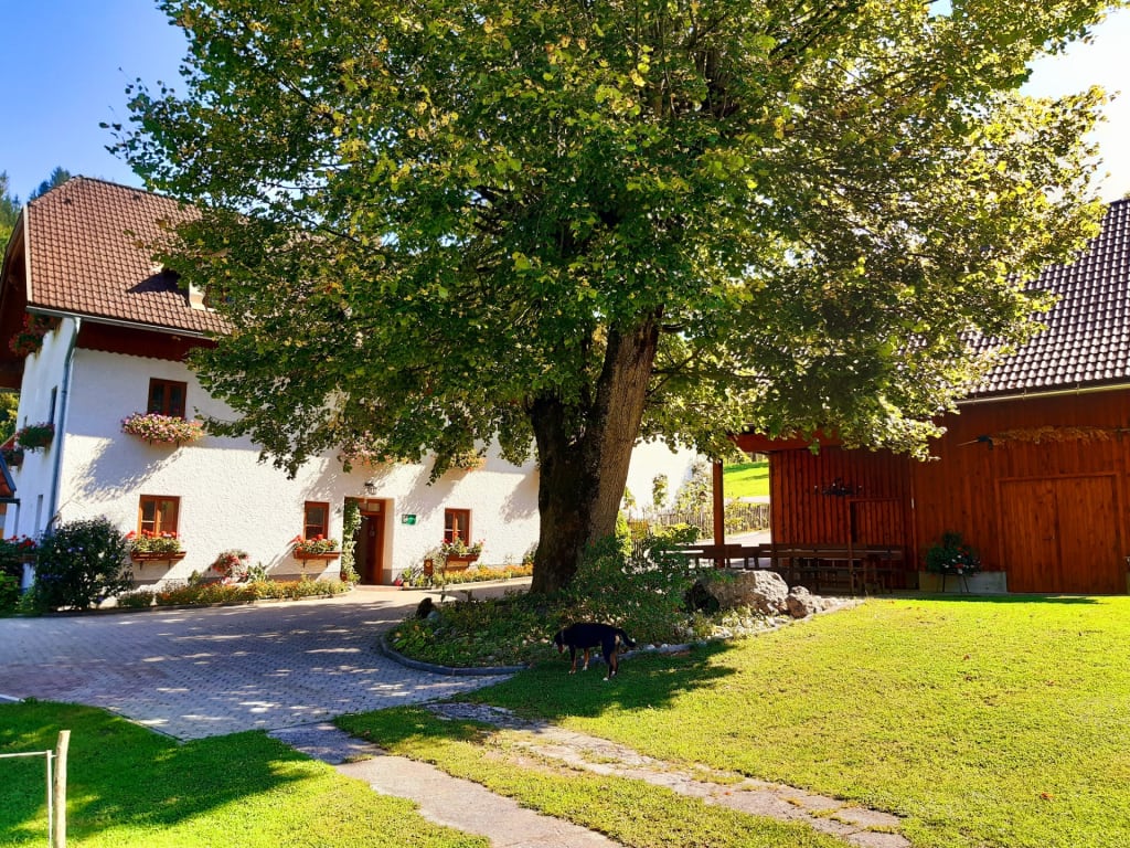 Oberrehau