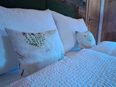 Bild 12 aus  Lengaualm