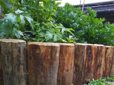 Bild 100 aus  Tobadillerhof Kinderbauernhof Pitztal Tirol