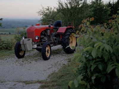 Bild 93 aus Bio-Bauernhof Haunschmid