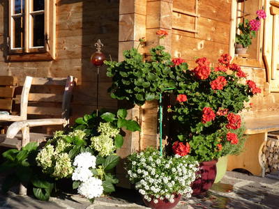 Bild 8 aus  Stückler - Hütte