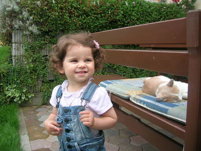 Bild 2 aus  Kollerhof