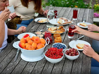 Bild 155 aus  Kleinhofers Himbeernest