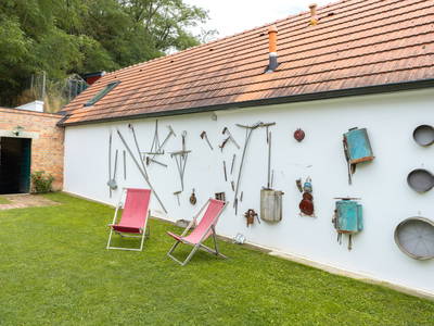 Bild 225 aus  Winzerhof Küssler, Weinviertel