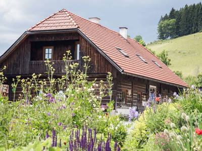 Bild 61 aus  Drei-Länder-Blick