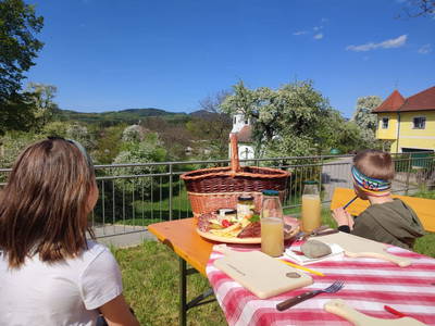 Heurigenpicknick im Aichauer Obstgarten