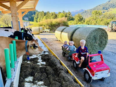 Bild 2 aus  Bauernhof Stefaner