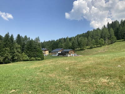 Bild 2 aus  Ferienwohnung Steinacher