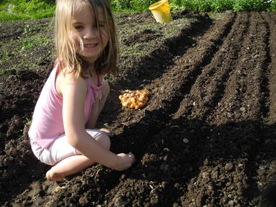 Bild 60 aus  Peter in der Edt