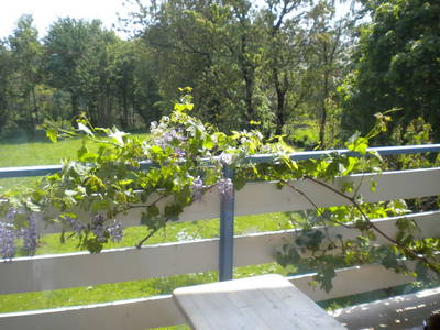 Bild 34 aus  Gästezimmer Weiß