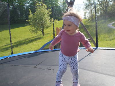 Bild 21 aus  Ferienhaus Zwickelreith