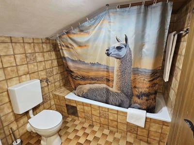 Bild 47 aus  Pfleger Ranch am Schönegg Gut