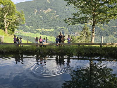 Bild 17 aus  Marteshof