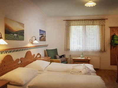 Bild 137 aus  Landhotel Spreitzhofer - Braunhof