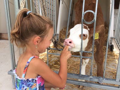 Bild 22 aus  Unterulpointhof