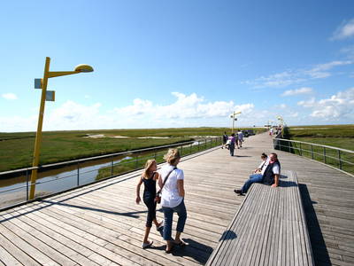 Bild 55 aus  Ferienhof Peter -  Ponys - streicheln, striegeln, füttern  -  Wattwanderungen + ganz viel Nordsee