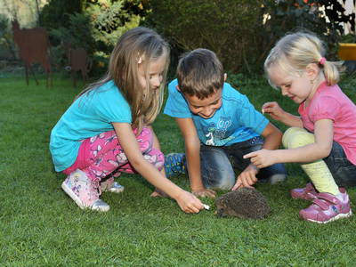 Bild 53 aus  Winklerhof-Kinderlandbauernhof, Familie Esterer
