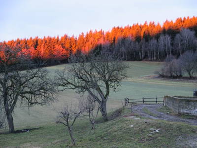 Bild 76 aus  Schoberwallner