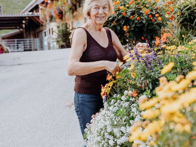 Bild 255 aus  Michlbauer