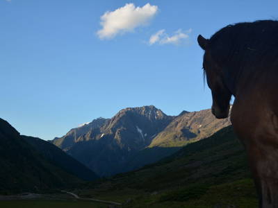 Bild 42 aus  Tobadillerhof Kinderbauernhof Pitztal Tirol