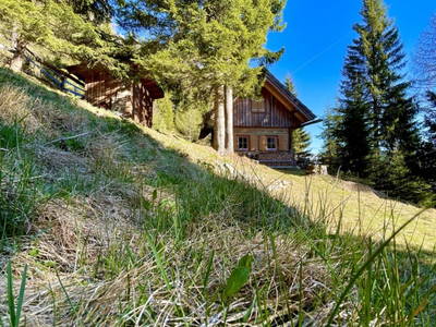 Bild 22 aus  Königsreiner  Hütte