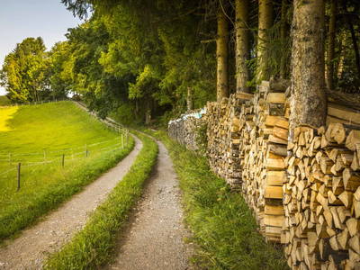 Bild 28 aus  Bio Bauernhof Paulbauer