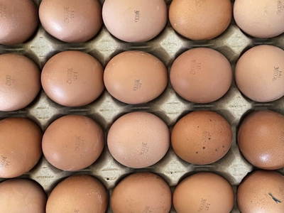 Bild 30 aus  Pechhof