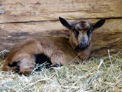 Bild 18 aus  Hof im Feld