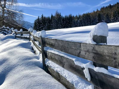 Bild 52 aus  Bleierhof