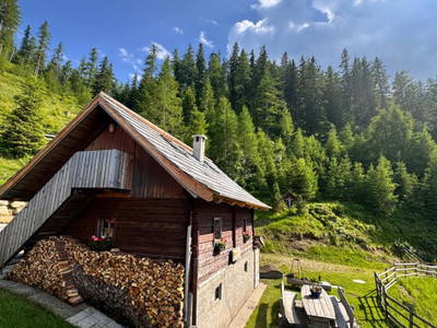 Bild 173 aus  Wallneralm