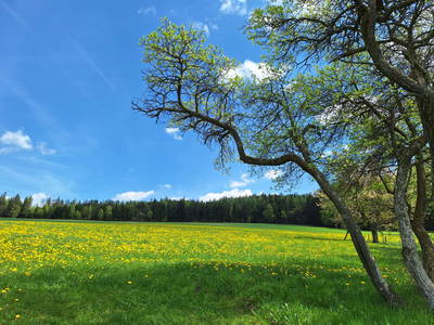 Bild 32 aus  Geiregger