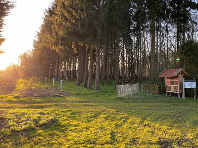 Bild 5 aus  Ferienhof Westermann