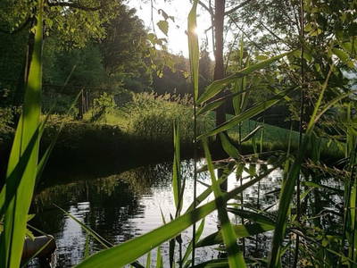 Bild 78 aus  Selbstversorgerhaus Vordersattlegg