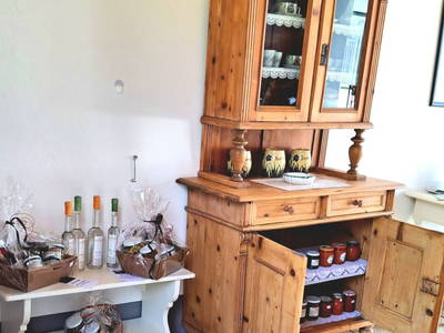 Bild 85 aus  Ferienhaus Weinviertel