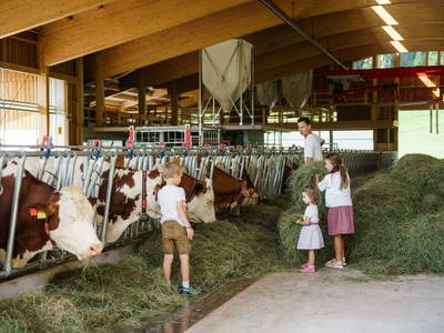 Bild 12 aus  Linharterhof Appartements